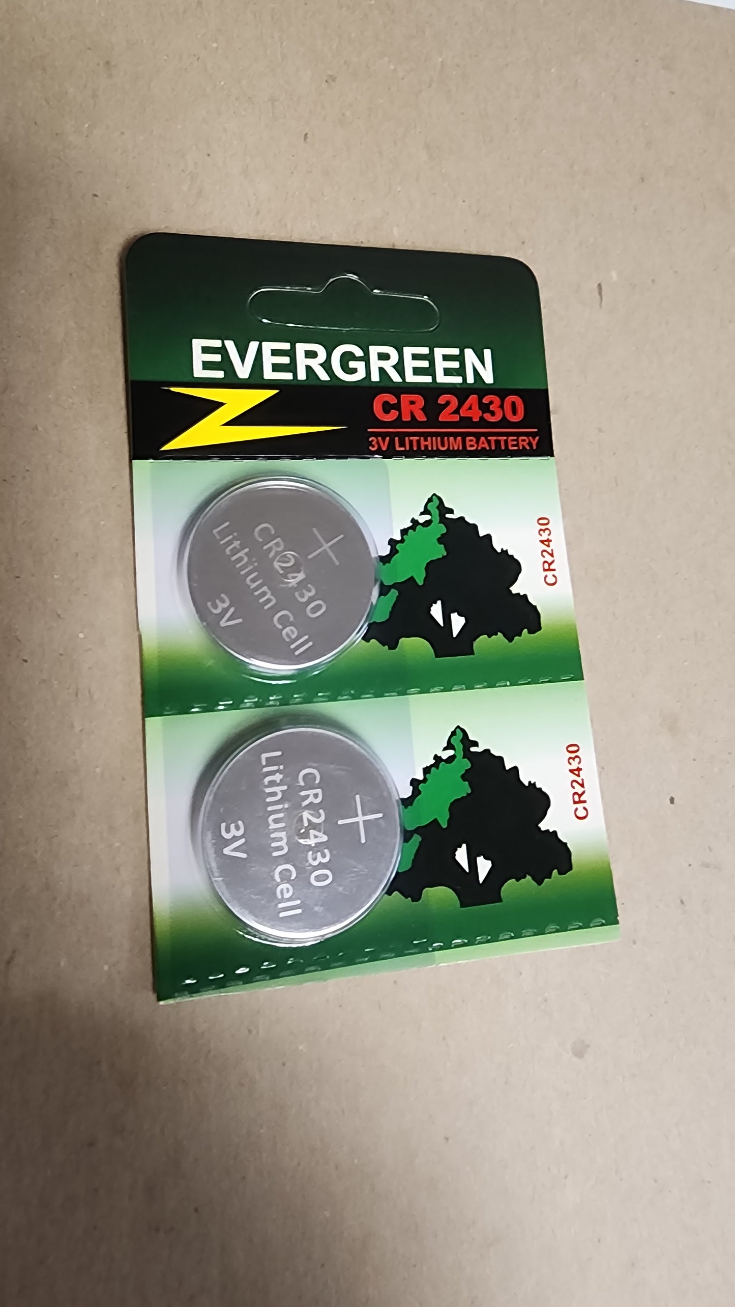 2430 Lithium Coin Cell