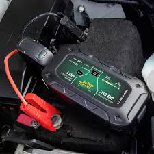 Deltran Charge and Start Pack