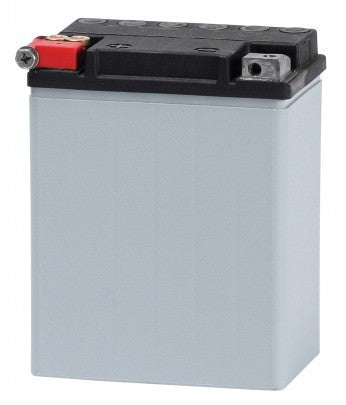 ATX 14 AH Power Sport Batteries (14a-a2)