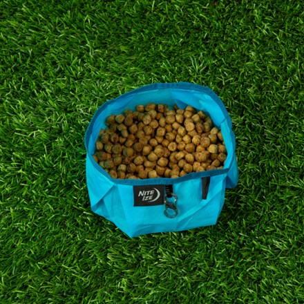 RadDog® Collapsible Bowl