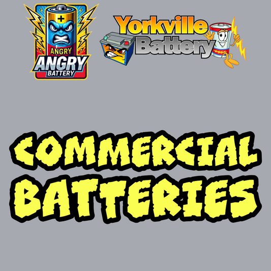 19L 6v Commercial Battery