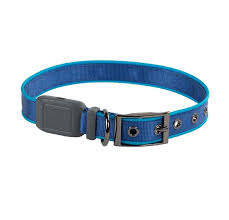 Light up Dog Collar Niteize