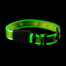 Light up Dog Collar Niteize