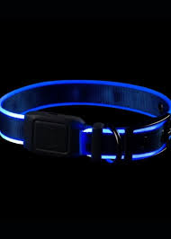 Light up Dog Collar Niteize