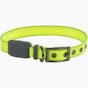Light up Dog Collar Niteize