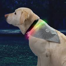 NHOR-B0907S-R8 Nitehowl Bandana