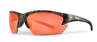 Quest Safety Glasses